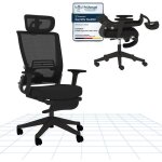 Flexispot chaise de bureau ergonomique avec repose - pieds, noir
