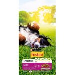 Friskies 5 promises maxi croquettes pour grands chiens, b?uf, 10 kg Friskies 5 promises maxi croquettes pour grands chiens, b?uf, 10 kg