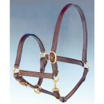 Full, chestnut rosso: double licol en cuir avec boucles en laiton Full, chestnut rosso: double licol en cuir avec boucles en laiton