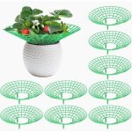 Gabrielle - 9 pi�ces support fraisier, plastique amovible supports pour fraises diam�tre 30. 6 cm support ...