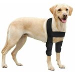 Gabrielle coudire respirante pour chien pour coude et paule de chien, eczma, dysplasie, arthrose, ...