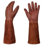Gants de jardinage - �pine d'�lagage de roses et r�sistant aux coupures gantelet de protection de l', ...