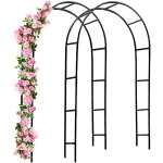 No brand - support pour plantes grimpantes noir en mtal arche de jardin tuteur plantes dcoration extrieure ...