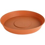 Garronda soucoupe pour plantes plastique plateaux pot de felurs et plantes gd - 0023 (terracotta, ? 16cm ...