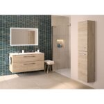 Geberit - colonne basse selva avec 1 porte - gamme modulable - poign�e / porte - serviettes - rangement ...