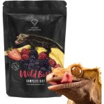 Gecko nutrition banana forest fruits - nourriture pour geckos : gecko  crte, felsuma 50 g