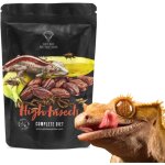 Gecko nutrition banana insects - nourriture : gecko � cr�te, felsum 50g