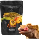 Gecko nutrition banane abricot - nourriture pour geckos : gecko � cr�te, felsuma 50 g
