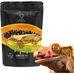 Gecko nutrition banane papaye - nourriture : gecko  crte, felsum 50g
