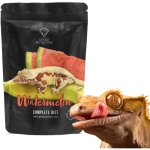 Gecko nutrition banane past�que - nourriture pour geckos : gecko � cr�te, felsuma 50 g