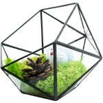 G�om�trique terrarium en forme de demi - sph�re triangulaire en verre fait � la main, pot de fleurs pour ...