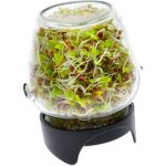 Germoir en bocal en verre germes pour perroquets germination facile et fiable