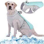 Gilet rafra�chissant pour chien, veste respirante de refroidissement pour animaux de compagnie, gilet ...