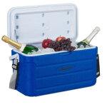 Glaciere 20 l avec sangle de transport