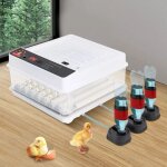Entièrement automatique incubateur couveuse 38pcs oeufs de poule couveuse couveuse automatique Entièrement automatique incubateur couveuse 38pcs oeufs de poule couveuse couveuse automatique