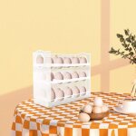 Gojoy - pp porte - oeufs bo�te plateau cuisine rangement organisateur oeufs r�frig�rateur conteneur