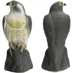Grand raliste faucon leurre oiseau deterrant, raliste complet corps oiseau de proie anti - parasites ...