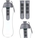 Gourde filtrante dafi grise 0, 7 l + 2 filtres