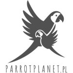 Graines de citrouille fleuries lolo pets pour perroquets et oiseaux exotiques 150 g