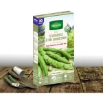 Graines de fve  trs longue cosse aguadulce