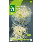 Graines pour germes alfalfa - ca. 16 gr (livraison gratuite)