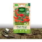 Graines de pavot de californie orange