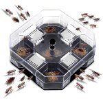 Grillons de pi�ge � cafards, bo�te de pi�ges � cafards utiles, cafards r�utilisables m�nagers, insecte, ...