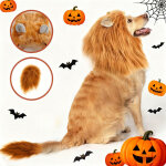 Halloween : d�guisement de lion avec crini�re et oreilles pour chien m
