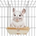 Hamac en bois naturel pour furets, suspension pour liti�re, jouets et accessoires pour cages en bois, ...