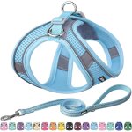 Harnais anti - traction pour chien, harnais r�glable, laisse avec poign�e rembourr�e souple, facile � ...