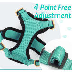 Harnais pour chat avec cordon de traction pour les promenades, harnais - gilet souple et r�glable anti ...