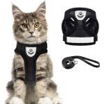 Harnais pour chat avec laisse anti - clatement, harnais chat anti - vasion avec laisse, rglable gilet ...