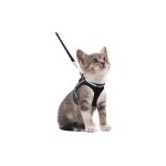Yzmrbdqc - harnais chat avec laisse, harnais respirant pour chaton avec bandes rflchissantes gilet ...