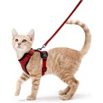 Harnais chat petit chien laisse harnais chaton r�glable rouge collier harnai chat refl�chissant gilet ...
