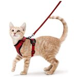 Harnais chat petit chien laisse harnais chaton r�glable rouge collier harnai chat refl�chissant gilet ...