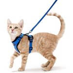 Harnais pour chat petit chien laisse r�glable bleu xs collier de harnais pour chat r�fl�chissant d�bardeur ...