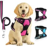 Harnais pour chien, harnais anti - traction, harnais anti - traction, harnais anti - traction, harnais ...