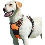 Coavas - harnais chien, harnais anti traction pour chien réfléchissant réglable, facile à mettre, avec ... Coavas - harnais chien, harnais anti traction pour chien réfléchissant réglable, facile à mettre, avec ...