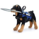 Harnais pour chien aveugle gilet de protection pour chiens emp�cher les collisions anneau pour chiens ...