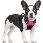Harnais pour chien rose rouge taille m poitrine 38 - 75 cm 1 gilet rembourr� r�glable pour chien gilet ...