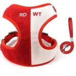 Harnais chiot chien pour petits chiens chaton chat laisse et harnais ensemble sans traction pour marcher ...