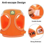 Harnais et laisses pour chats, harnais anti - fugue pour chatons, harnais r�fl�chissant et r�glable pour ...