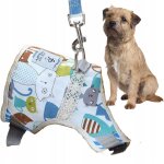 Harnais + laisse pour petit chien ou chat motif chaton xl 36 - 44cm en cage