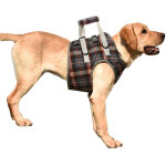 Harnais de levage pour chien professionnel, r�glable et respirant, avec sangle d'assistance pour chien ...