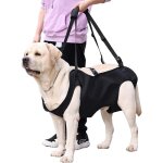 Harnais de levage / transport pour chien, support et r��ducation pour animaux de compagnie, harnais de ...