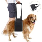 Harnais de soutien pour chien �g�, ceinture de levage pour chiens handicap�s, noir, aide � monter et ...