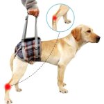 Harnais de soutien pour chien, pattes arri�re pour animaux de compagnie, levage r�glable, sangle de r�cup�rati ...