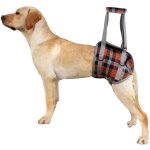 Harnais de soutien pour chiens r�glable harnais pour chien handicap� pour les jambes arri�re, maille ...