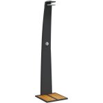 Douche d'extrieur 55 x 60 x 224 cm rsine tresse bois acacia black