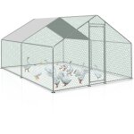 Hengda - swanew poulailler xxl enclos d'extérieur beaucoup d'espace pour poules, lapins et autres petits ... Hengda - swanew poulailler xxl enclos d'extérieur beaucoup d'espace pour poules, lapins et autres petits ...